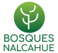logo-bn-full-color-82x75